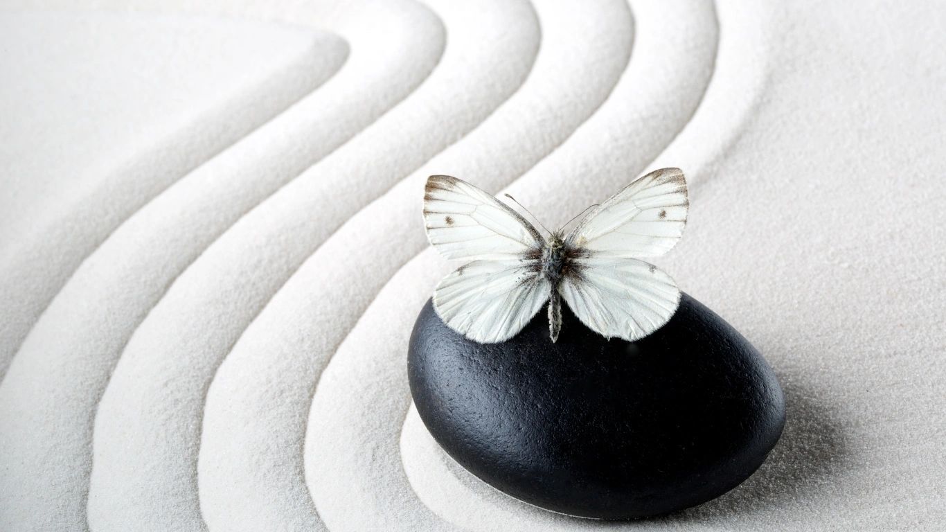 Harmony Management Group, Inc. online